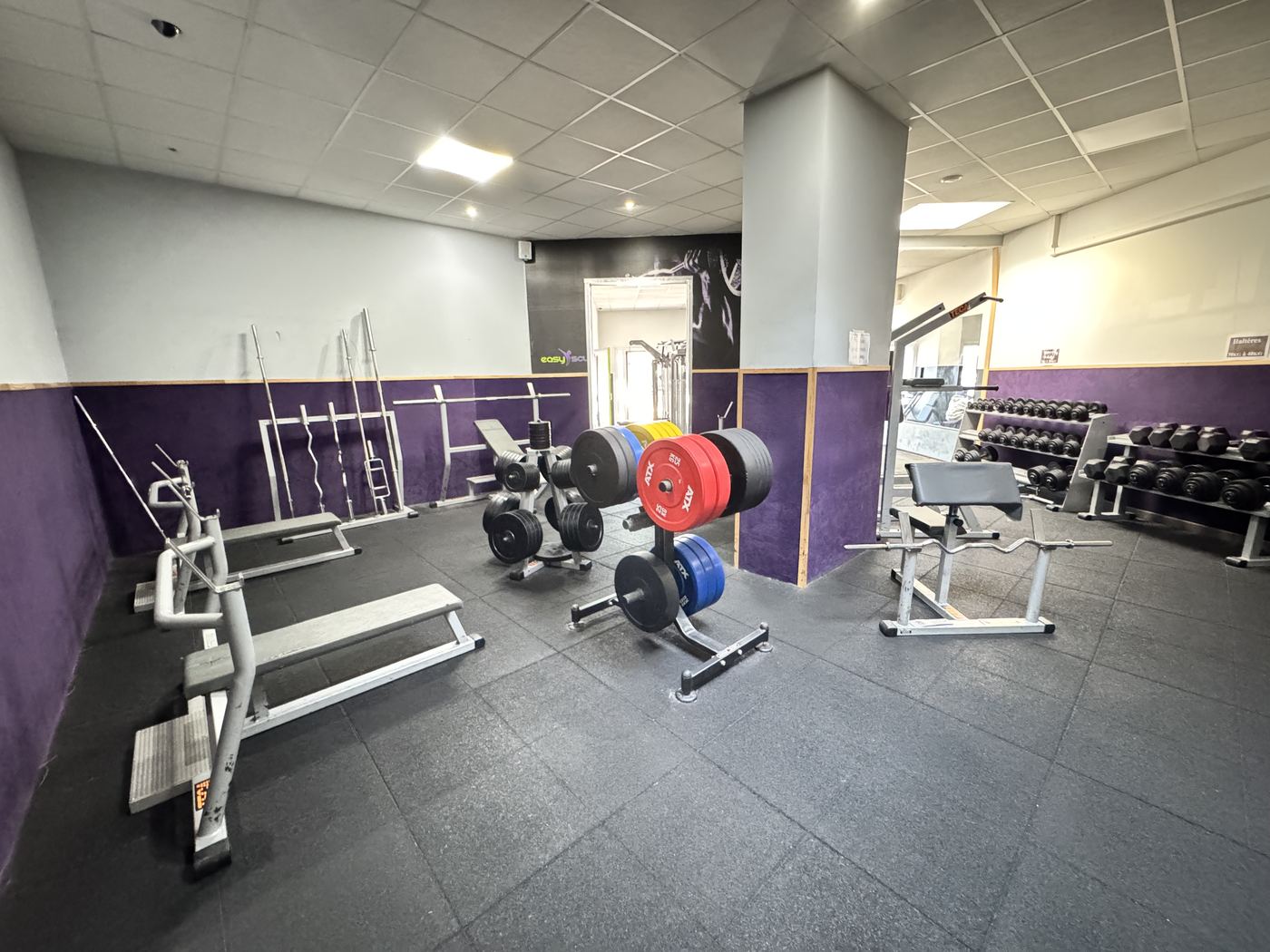 Plateau de musculation : poids libres, bancs et barres guidées — Easy Sculpt